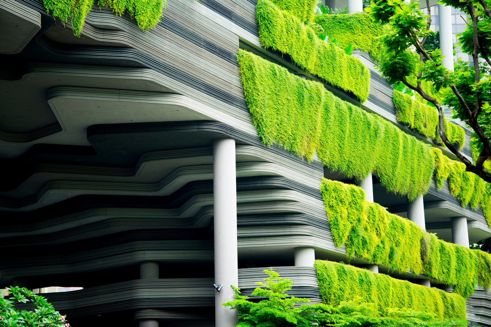 Green Eco Building